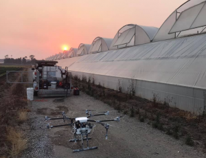 Drones: 5 ways drones can help your business